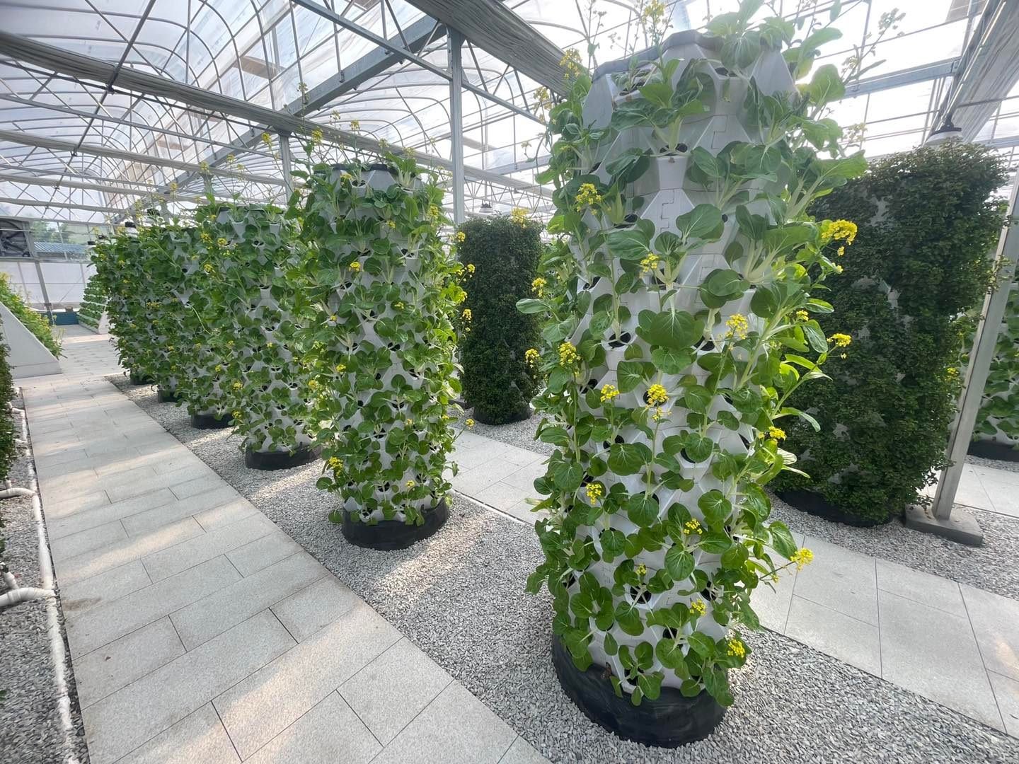 Hydroponic Fodder System