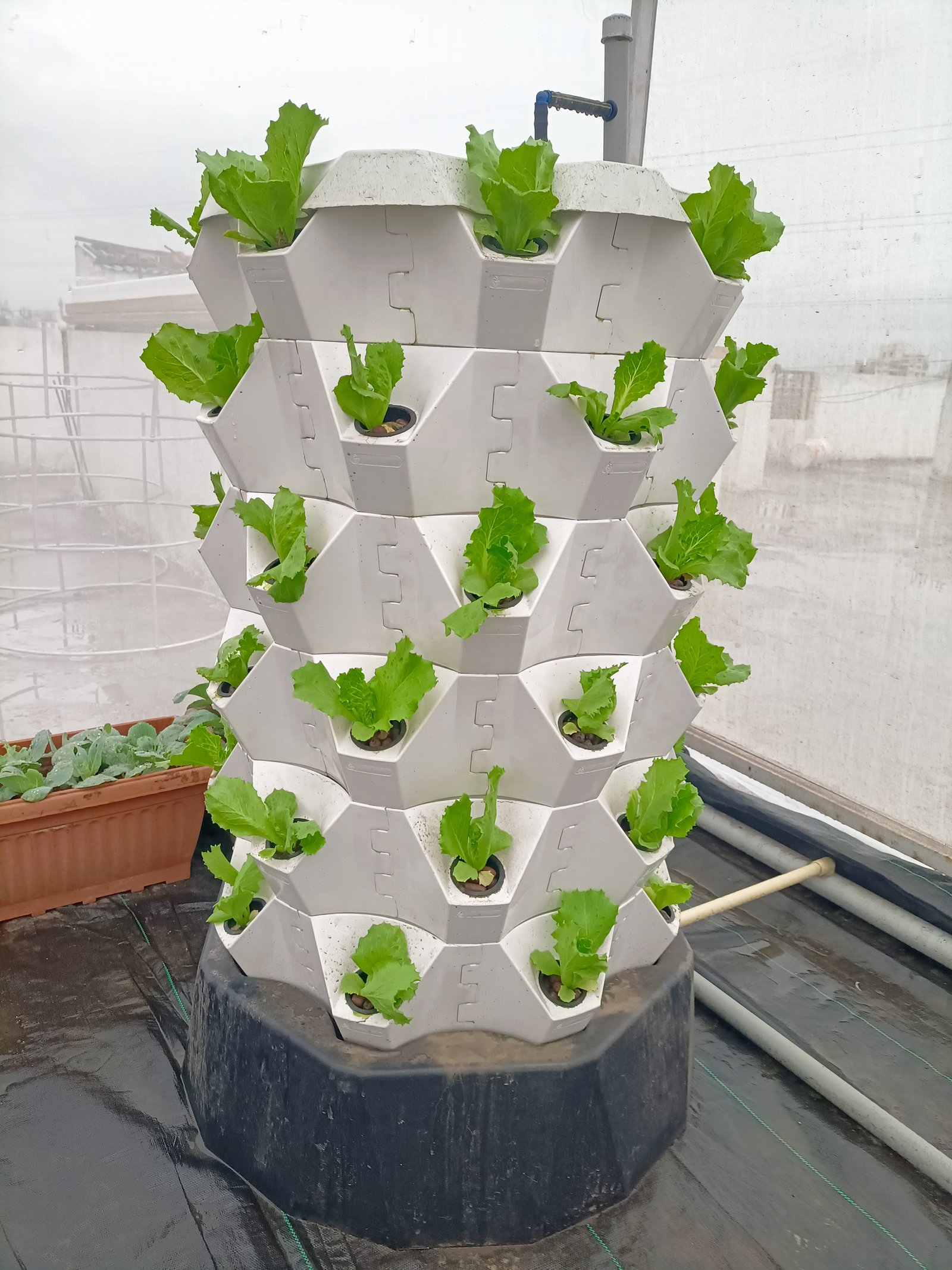 Hydroponic Grow Tower