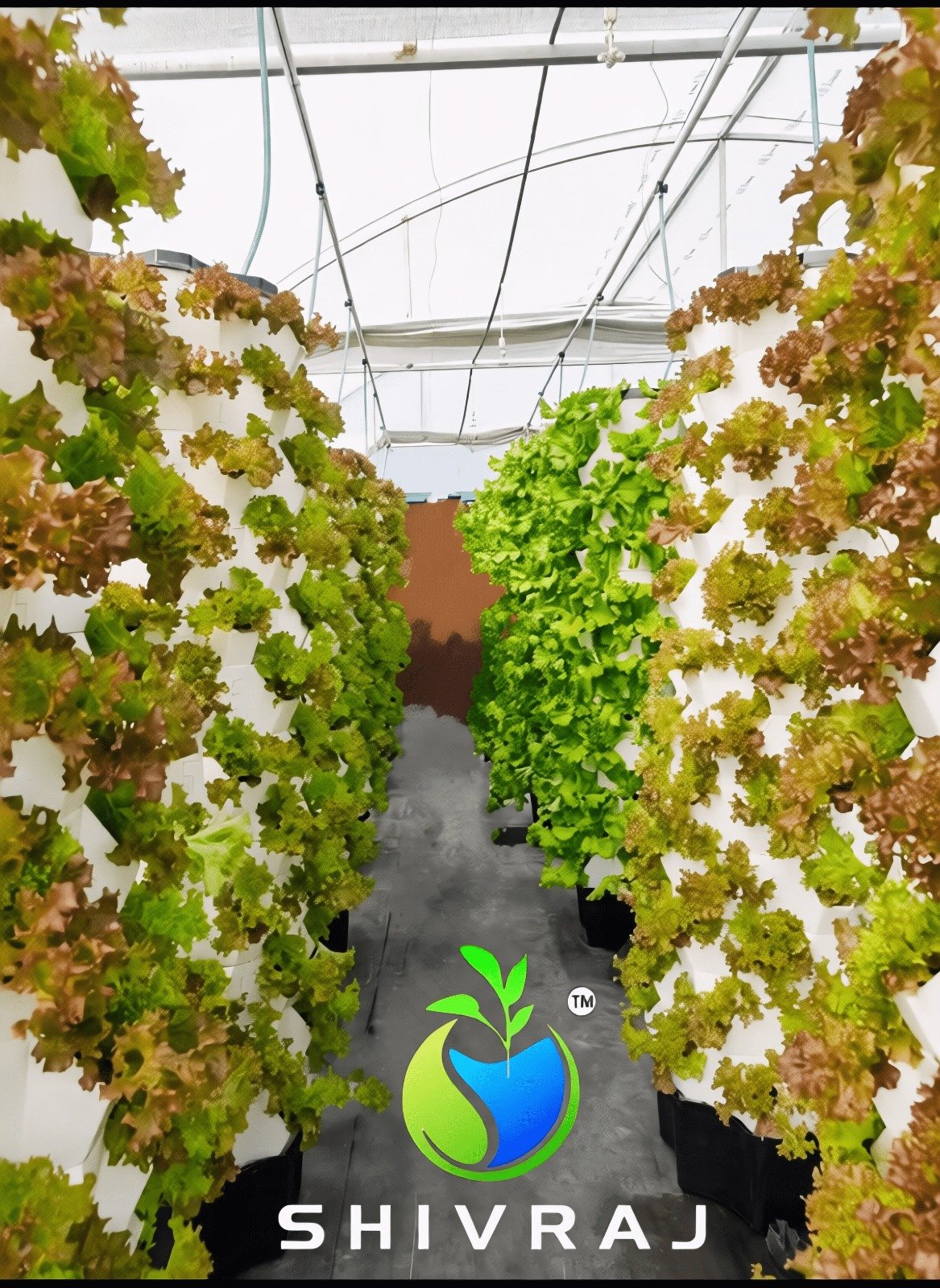 Aeroponic Tower