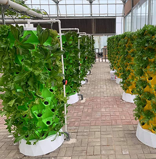 Home Aeroponic Tower System Manufacturer in Pune