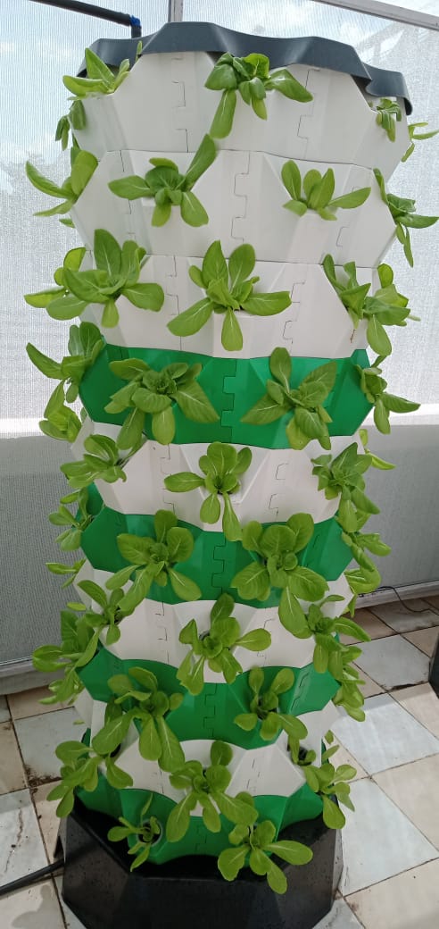 Hydroponic Grow Tower