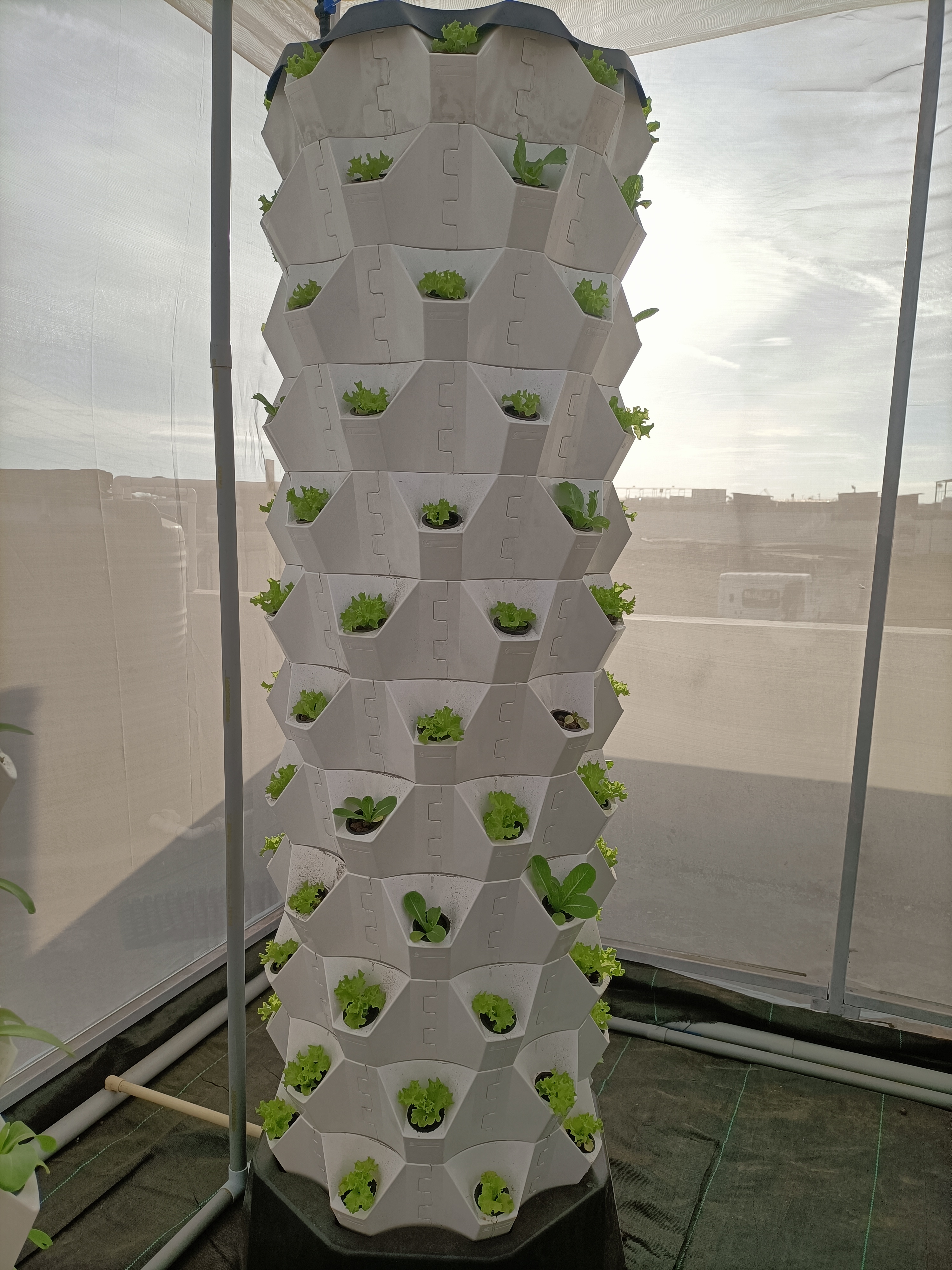 Hydroponic Grow Tower