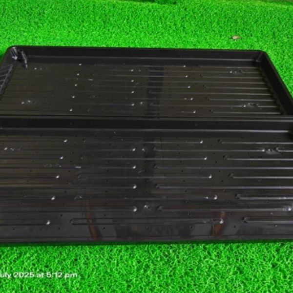 Indoor Micro Greens trays Manufacturer in Pune