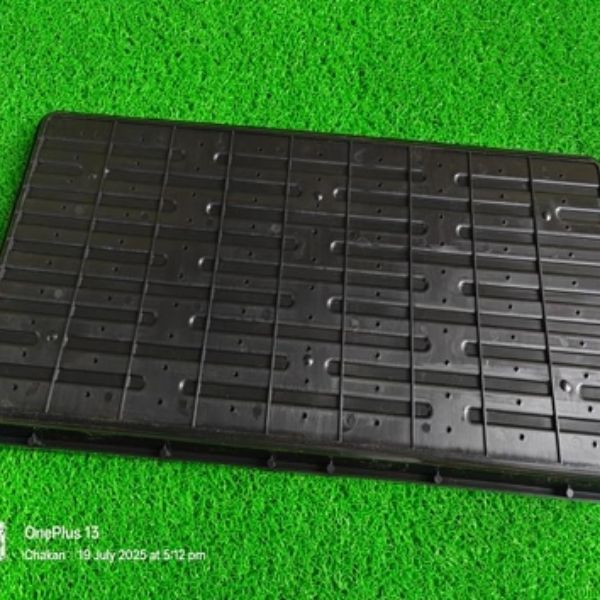 Indoor Micro Greens trays Manufacturer in Pune