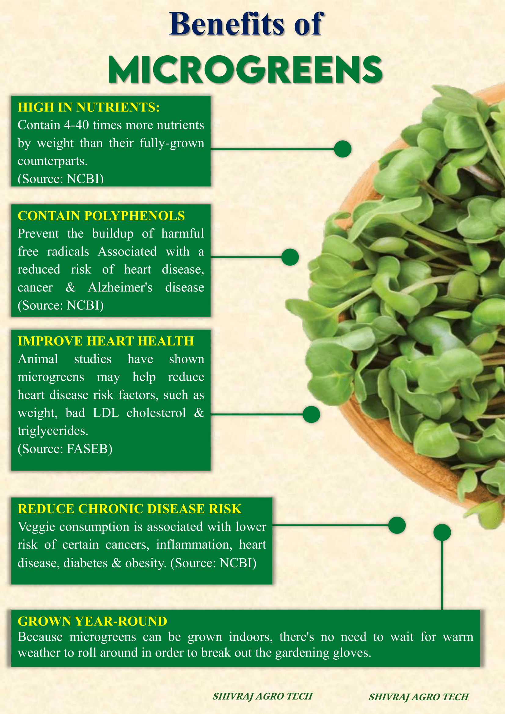 Microgreen Farming