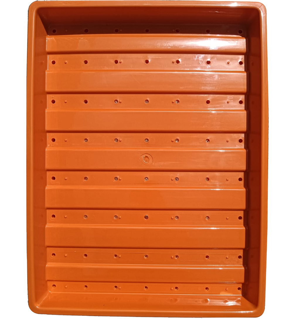 Hydroponics Fodder Tray Manufacturer in Pune