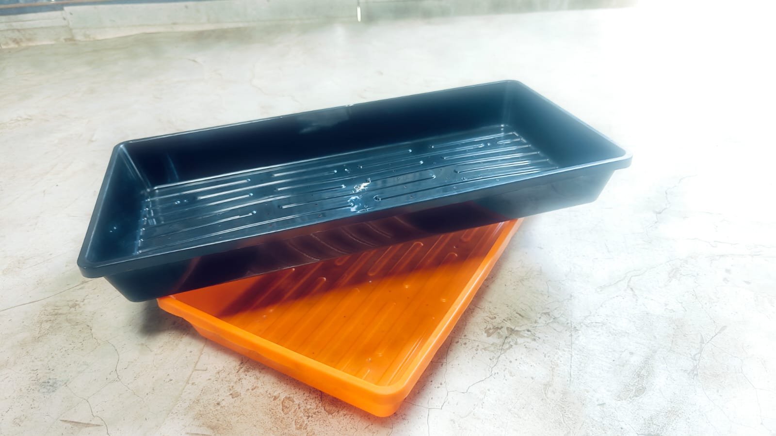Saffron Aeroponic Tray for controlled saffron cultivation